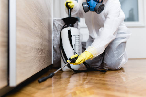 Reliable Cedar Bluff, VA Pest Control Solutions