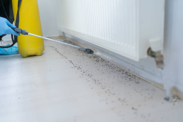  Cedar Bluff, VA Pest Control Pros